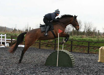 hoof help bristol