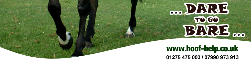 Hoof Help